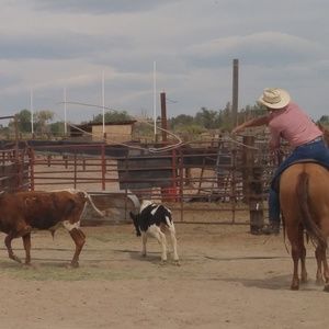 Meet your Posher, Cody